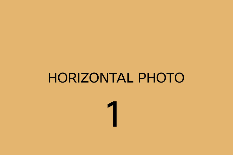 Registry Weddings at Valentines Mansion - Ilford