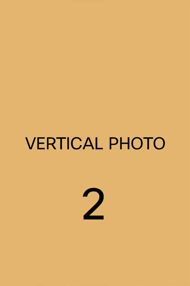 Registry Weddings at Valentines Mansion - Ilford