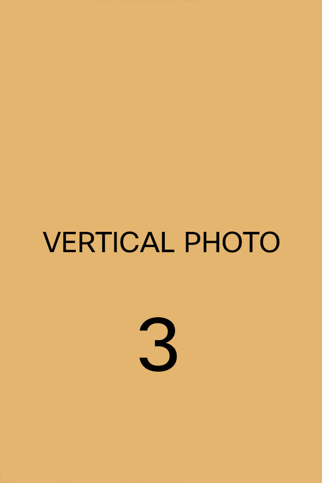 Registry Weddings at Valentines Mansion - Ilford